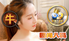 澳门金多宝材料免费公开网坐金多宝免费材料网