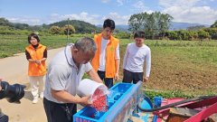 博罗良种良技良法帮力奏响机械化春耕乐章