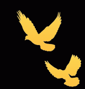 <b>《教育强省扶植规划纲要（2025—2035年）》！</b>