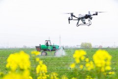 <b>农业强国规划！广袤村落将变样</b>