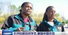 非洲姑娘正在田间地头感触感染中国农业现代化