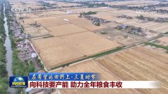 【正在但愿的郊野上·三夏时节】向科技要产能